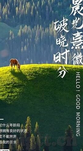 精品麻豆剧传媒av-精品麻豆剧，在艺术与审美间的探索