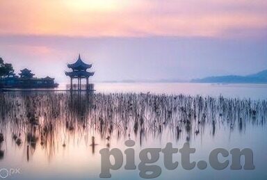 伊人青青成人在线视频-伊人青青，成人在线视频的多元视角与影响