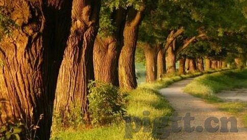 最近免费中文字幕-免费中文字幕，便捷观影新体验